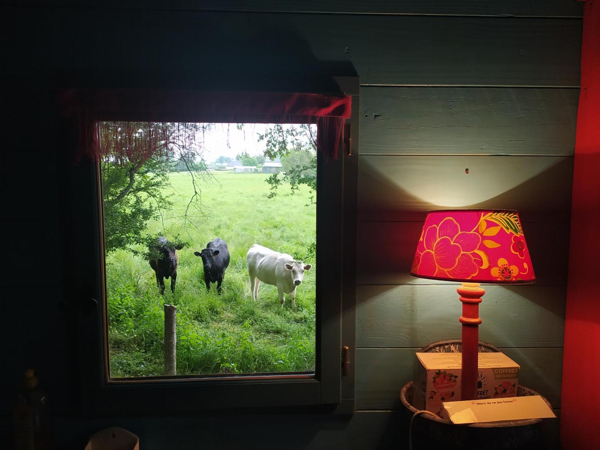 La Chaussee D'Olivet En Mayenne Room photo